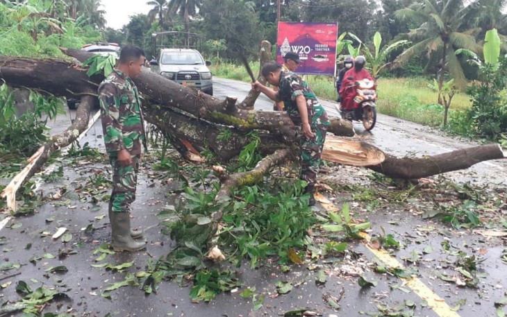 Personel Koramil 1310-03/Likupang bersama warga saat memotong pohon tumbang yang menimpa ruas jalan.