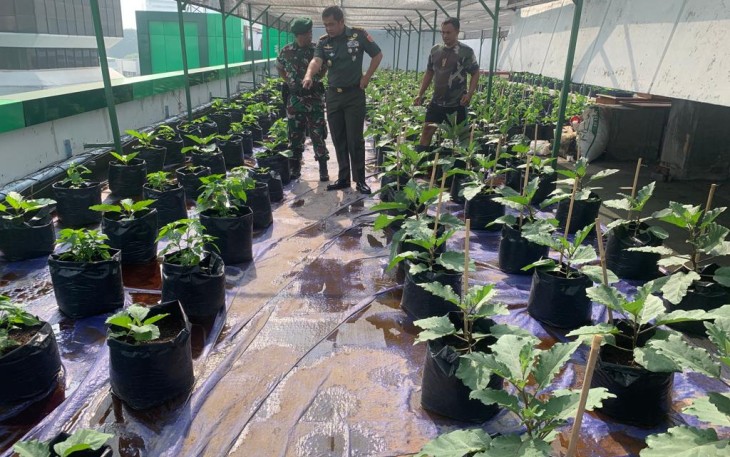Kebun Sayuran di Atap Gedung Makostrad