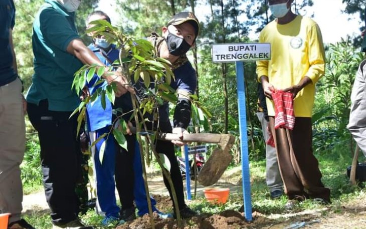 Tiga pilar Kabupaten Trenggalek, saat melakukan penanaman sejuta pohon, di destinasi wisata Banyu Lumut, Desa Tegaren, Kecamatan Tugu, Jumat (28/1/2022)