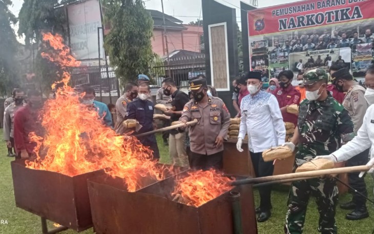 Pemusnahan puluhan paket ganja kering di Pasaman