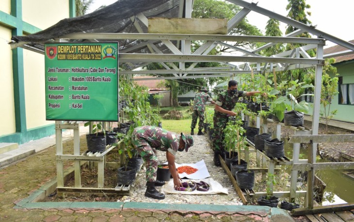  Demplot Kodim 1005/Barito Kuala    