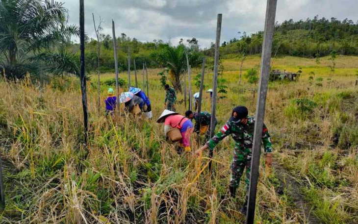Satgas Perbatasan Jaga Ketahanan Pangan