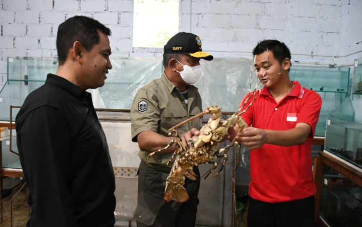 Danlantamal V Tinjau Budidaya Lobster 