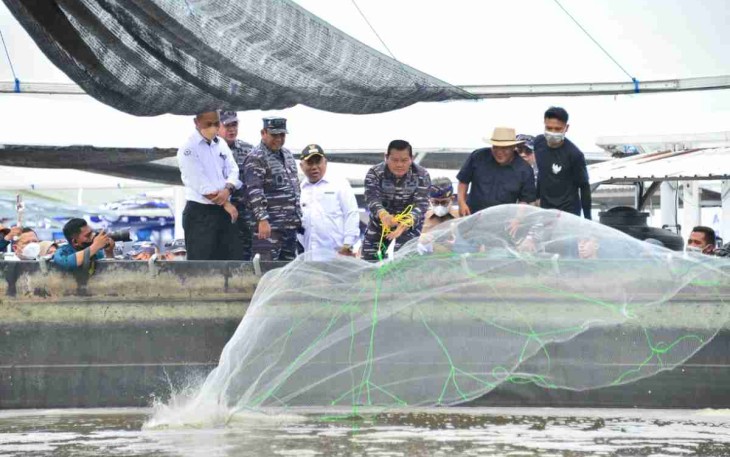 Kasal saat melempar jaring memanen udang Vaname. Rabu (11/05/2022)