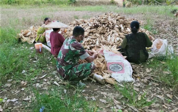 Sertu Muklison bersama petani Jagung di wilayah binaannya