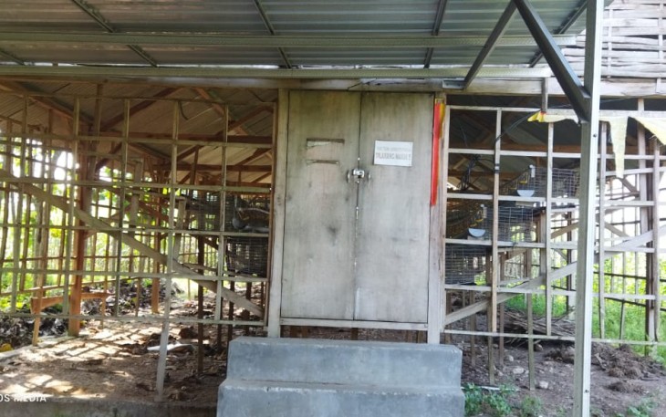Kandang ayam di Desa Brabowan bantuan Kementerian Desa Pembangunan Daerah Tertinggal dan Transmigrasi yang nilainya miliaran saat ini kondisinya mangkrak.