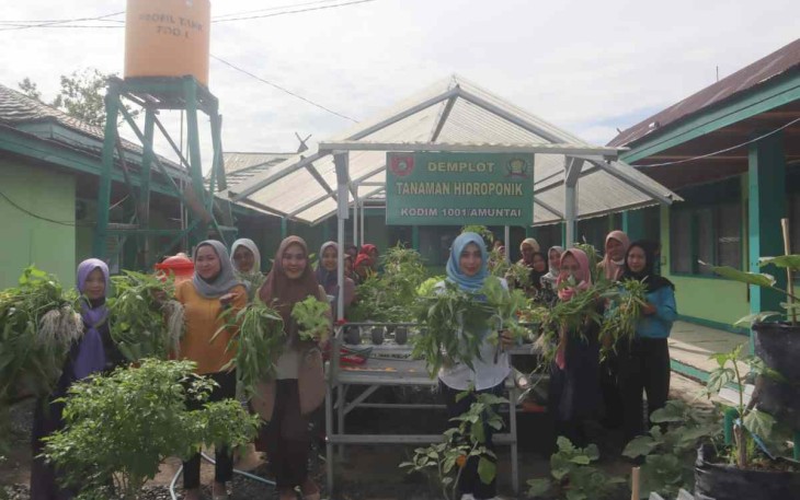 Panen sayur mayur di kebun hidroponik Kodim 1001/HSU-BLG 
