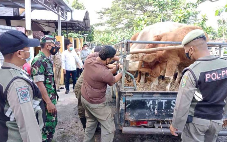 Sasar pasar hewan pantau kesehatan ternak cegah penyebaran virus PMK