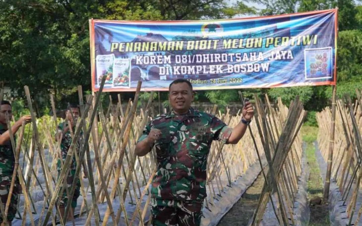 Bibit melon Pertiwi di lahan Bosbow Komplek Korem 081/DSJ