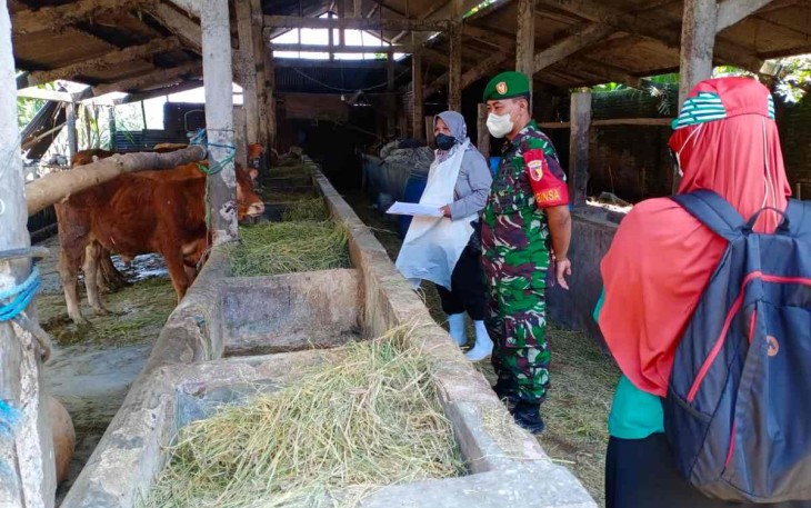 Vaksinasi PMK hewan ternak warga binaan di desa Sambirejo 