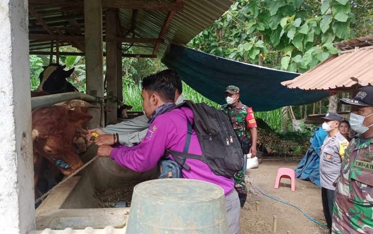 Pemeriksaan hewan ternak warga binaan