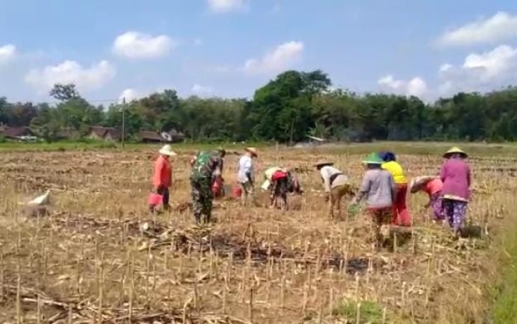 Tanam jagung bersama warga binaan