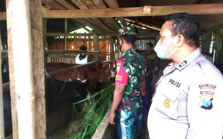Gencarkan pengecekan kesehatan hewan ternak warga binaan