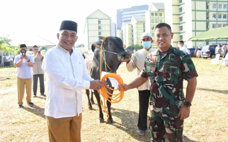 Pangdam Jaya saat menyerahkan hewan qurban 