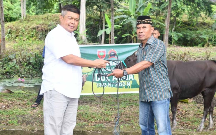 Danrem 142/Tatag saat menyerahkan hewan kurban 
