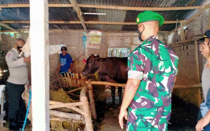 Sosialisasi dan vaksinasi PMK hewan ternak warga binaan