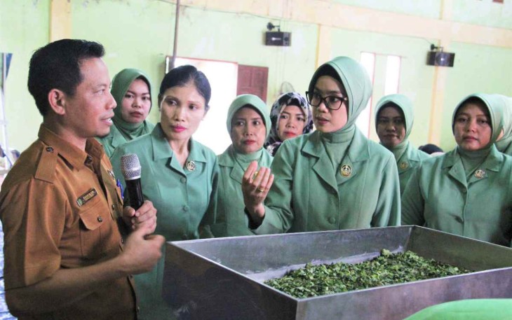 Ny, Wulan Jeffry Satria saat menerima penjelasan pengolahan daun kelor