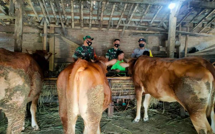 Pengecekan hewan ternak warga binaan