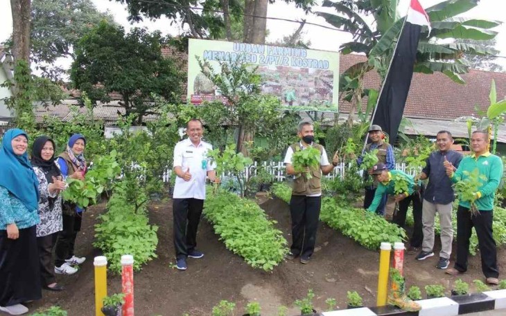 Lahan Urban Farming Menarmed 2 Kostrad Malang
