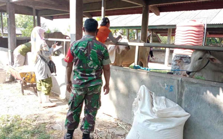 Serka Sudiono saat pengecekan hewan ternak warga binaan