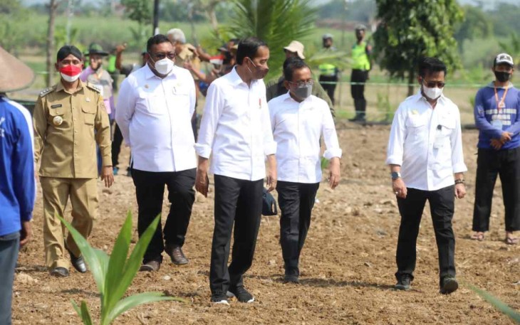 Presiden Jokowi bersama Mentan RI SYL saat launching kelapa Genjah di Sukoharjo 