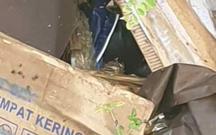 Sosok mayat ditemukan dalam kardus di desa Pasir, Mijen 