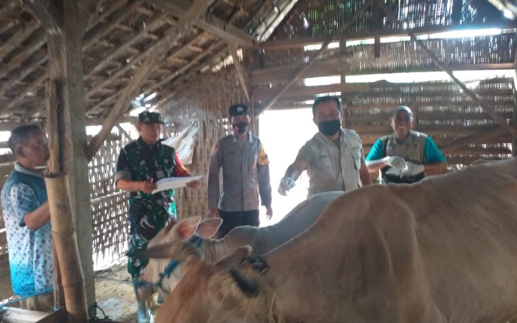 Vaksinasi PMK hewan ternak warga binaan