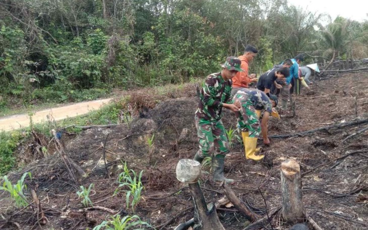 Tanam padi bersama warga perbatasan 