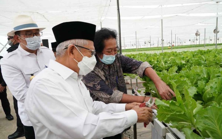 Wapres RI KH Ma'ruf Amin saat mengunjungi Batamindo Green Farm di Karawang