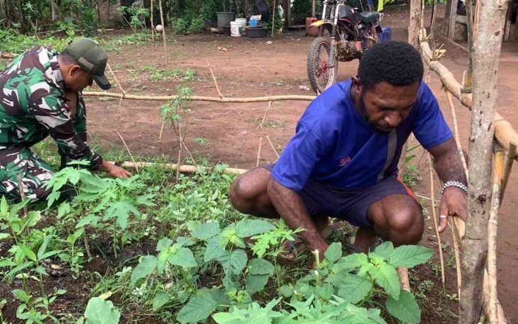 Manfaatkan lahan pekarangan rumah jaga ketahanan pangan di perbatasan 