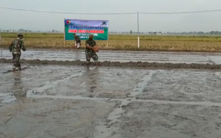 Program Ketahanan Pangan 