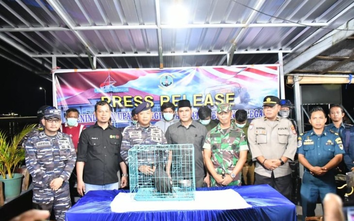 Danlanal Banjarmasin saat pers conference penyelundupan satwa dilindungi