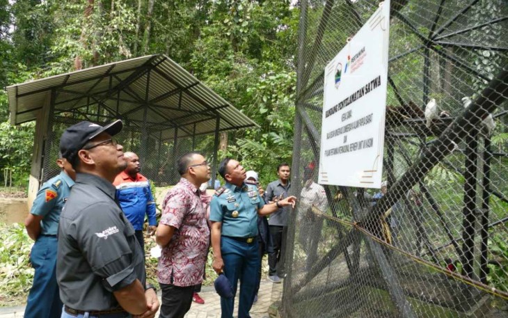 Pangkoarmada III Laksamana Muda TNI Irvansyah saat pelepasan liaran satwa 