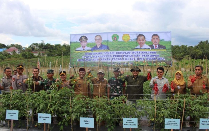 Wamentan RI saat mengunjungi kebun Kopka Gampang