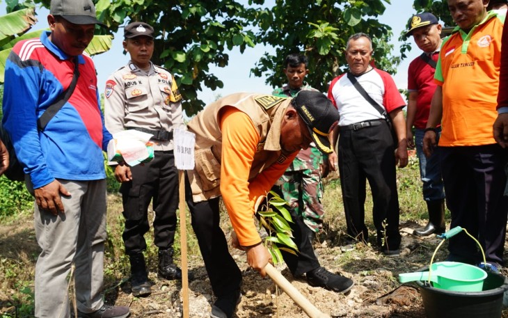 Pj Bupati Pati saat melaksanakan penanaman pohon 