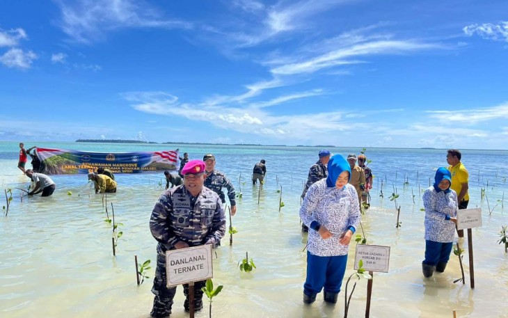 Danlanal Ternate Kolonel Marinir Ridwan Azis saat tanam bibit mangrove di Kepulauan Widi