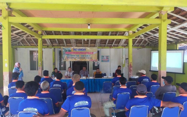 Sosialisasi Budidaya Pohon Mangga