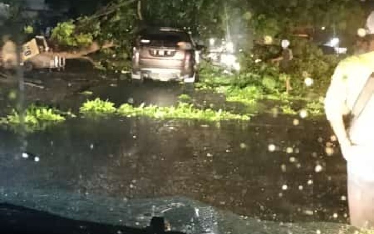 Pohon tumbang timpa mobil warga 