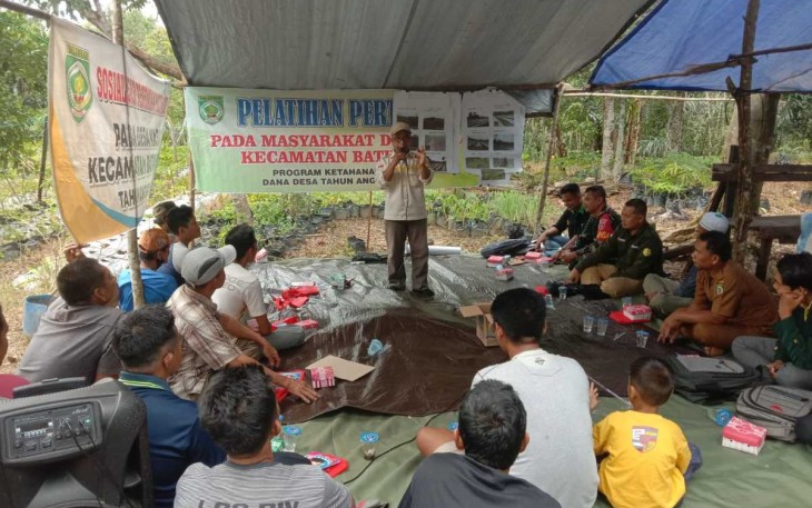 Pelatihan budidaya cabe di desa binaan