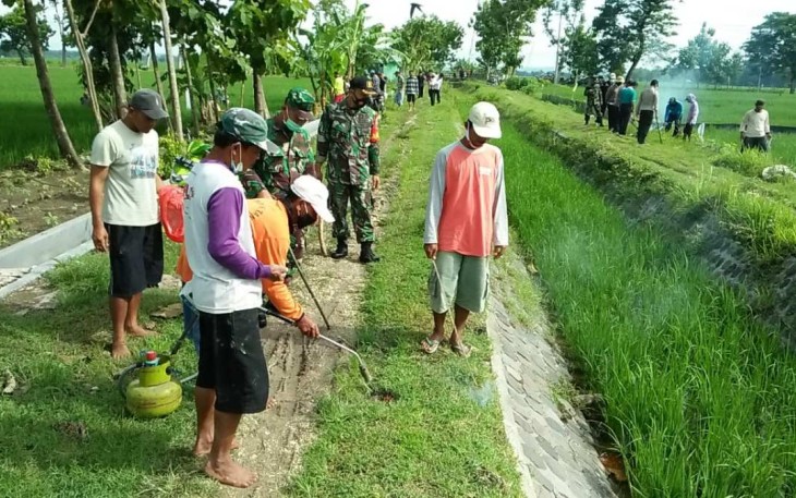Gropyokan tikus di Kecamatan Karangjati Kabupaten Ngawi