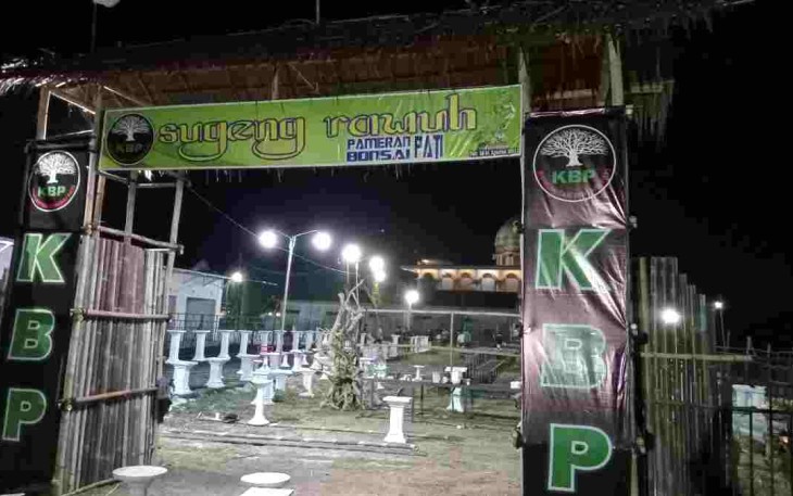Kesiapan pameran bonsai Pati terus dikebut