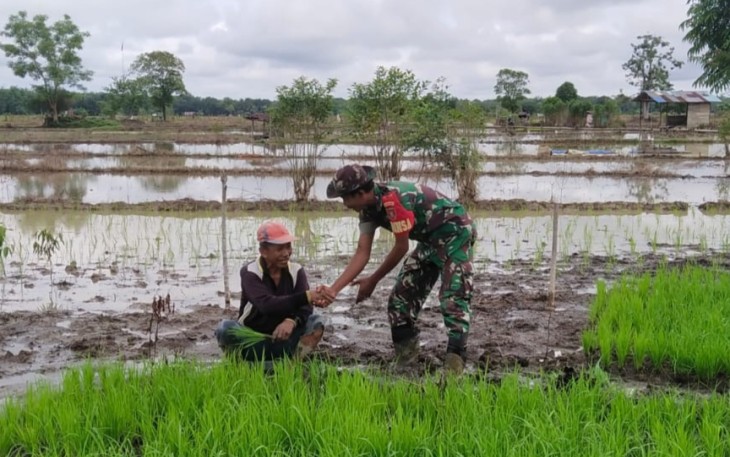 Pendampingan pertanian