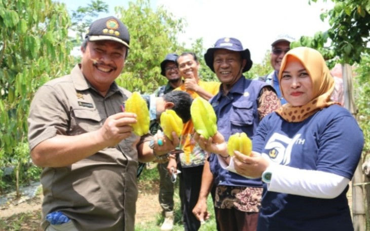 Dirjen Hortikultura Kementan RI Prihasto Setyanto didampingi wakil bupati Blora Tri Yuli Setyowati meninjau kampung buah Dukuh Klapanan Desa Tunjungan, Blora.