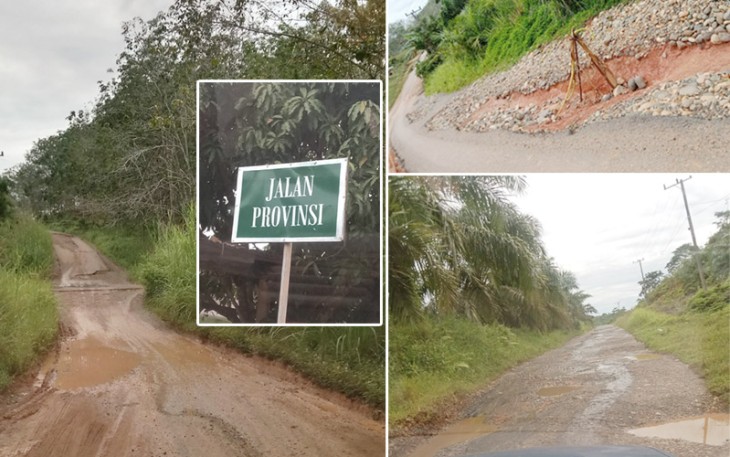 Kondisi Jalan Desa Kuala Langi, Bengkulu Utara. Foto (FB: Eprilya Purnama)