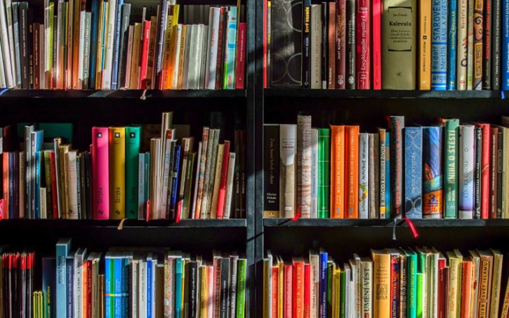 Ilustrasi Perpustakaan – Sumber : pexels.com