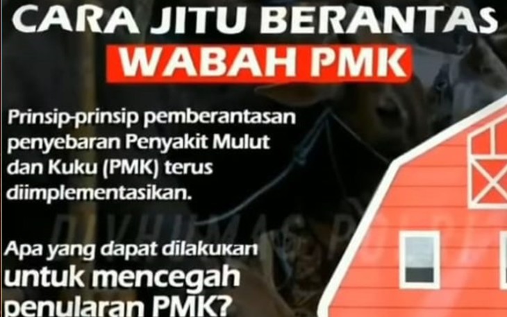 Cara Jitu Berantas Wabah PMK