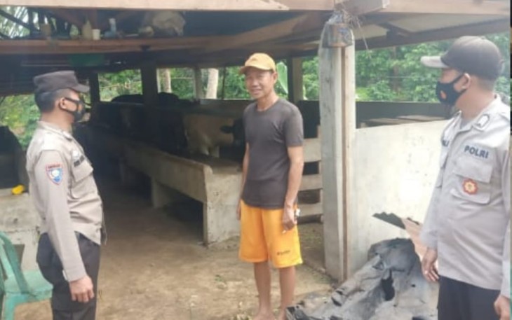 Polisi Tracing dan Sosialisasi Kepada Pemilik Ternak