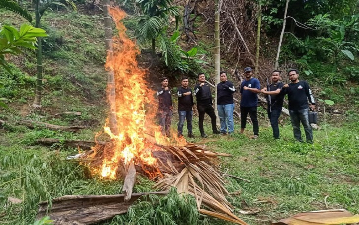 Polda Banten saat Musnahkan 3 Hektar Tanaman Ganja di Aceh Utara