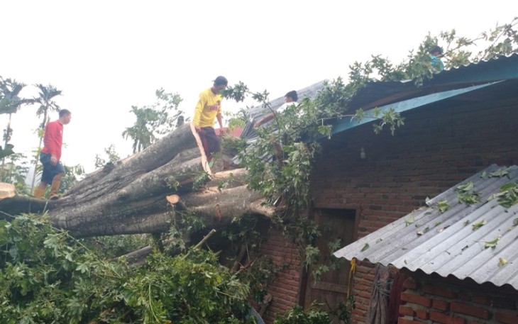 Rumah Tertimpa Pohon di Kaur