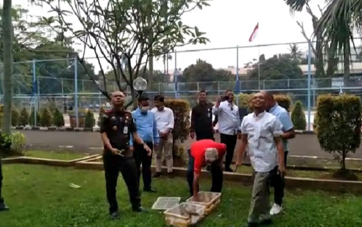 Kajati DKI Reda Manthovani saat Lepaskan Puluhan Burung dan Penyu
